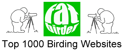 Visit the Fat Birder Website